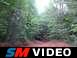 Dawson Forrest 026.avi